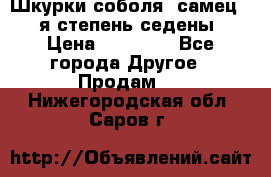 Шкурки соболя (самец) 1-я степень седены › Цена ­ 12 000 - Все города Другое » Продам   . Нижегородская обл.,Саров г.